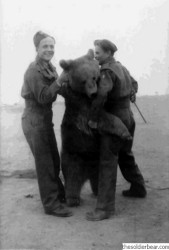 Dymitr Szawlugo (left) with Wojtek and Henryk Zacharewicz, Iraq 1943